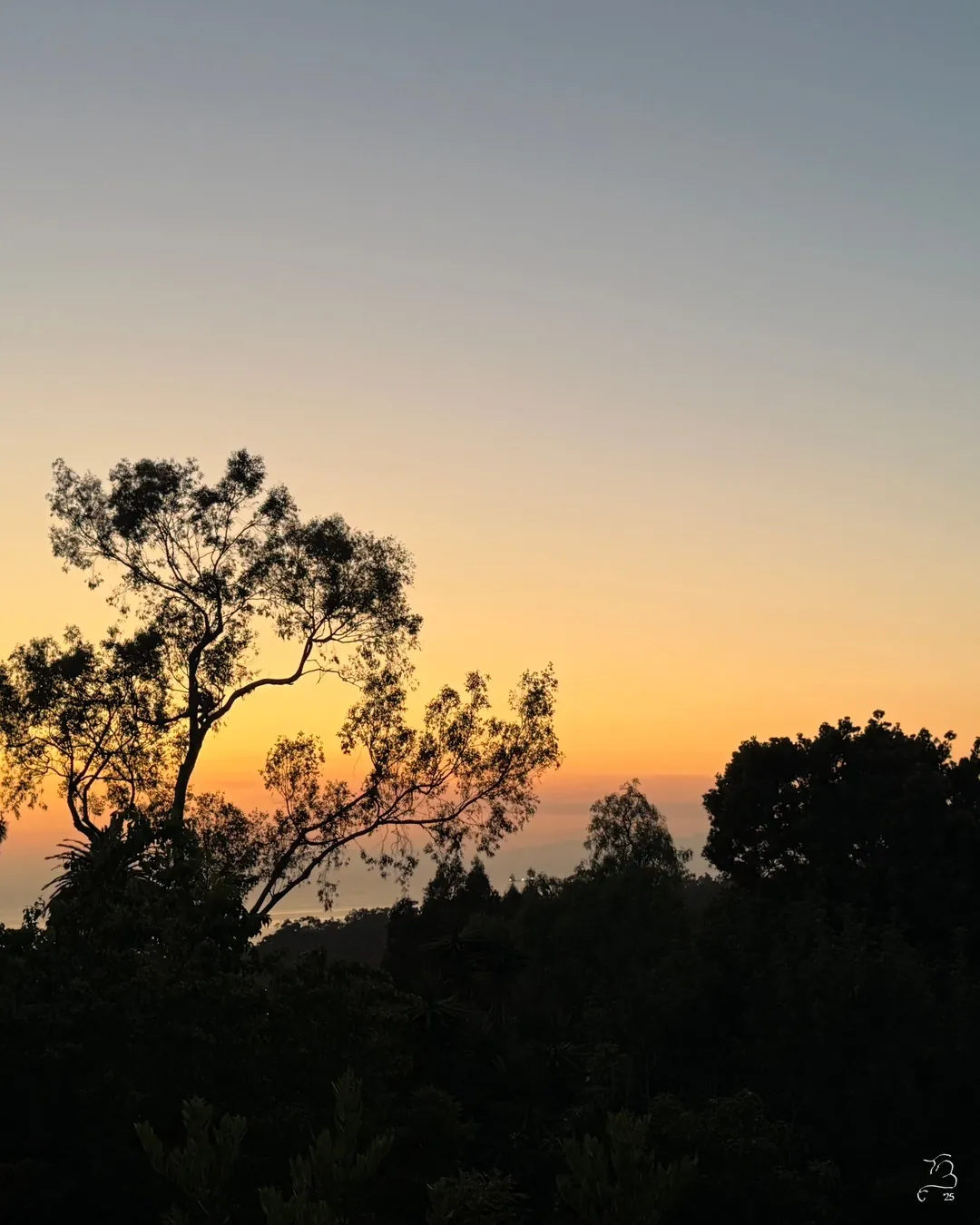Palos Verdes gradient